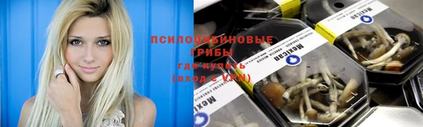 марки lsd Зеленокумск